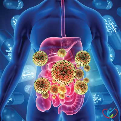 _HealthyBeings's tweet photo. “In understanding the basics of digestion, you'll discover who's in charge. Here's a hint. It's not you.”
― Nancy Mure https://t.co/VZP7WgnYWj