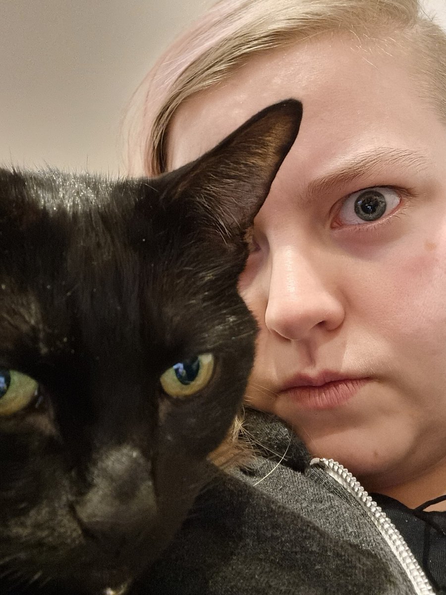 NeonKingCaz's tweet photo. Are we ready for cowboahs tonight? Probably not.
#ChazThoughts #chaz #cat #bombaycat #blackcat #twitch #streamer #gaymer #lgbtqia #snteam #sausagenebula #neonkingcaz #UK #lesbian #begoodpeople #rdr2 https://t.co/miRKbHBJqn