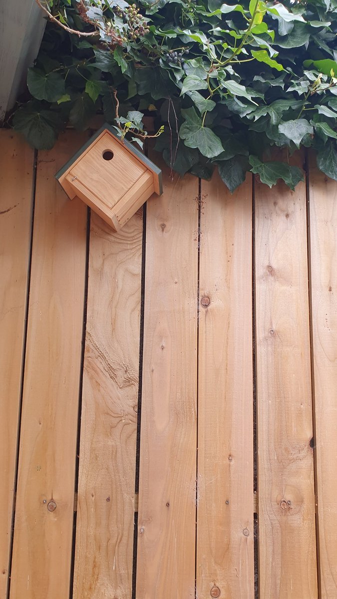 Robmurphe's tweet photo. Nesting box up and ready ... hopefully we get some guests! https://t.co/YVXISb2p7Y
