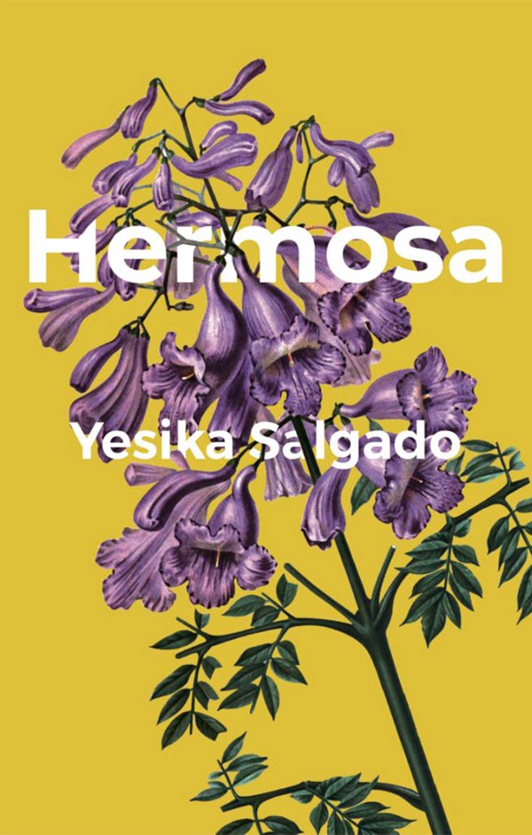 dbarnett's tweet photo. Biblio File column: "Hermosa" by @YesikaStarr.

Please subscribe to my free "Barnetto" newsletter: https://t.co/gjqOMT0et4

https://t.co/KQ5dC5s4Zr https://t.co/cK4Tlx2azI