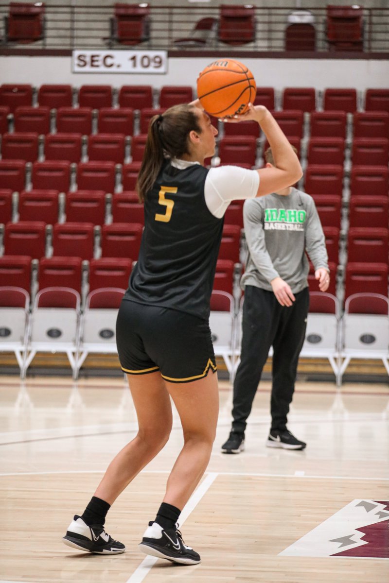 Idaho WBB tweet media