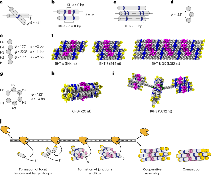 ian_hoffecker's tweet photo. Structure, folding and flexibility of co-transcriptional RNA origami https://t.co/X5FXMMFvwC nanotechnology https://t.co/RfEU5P3GlY