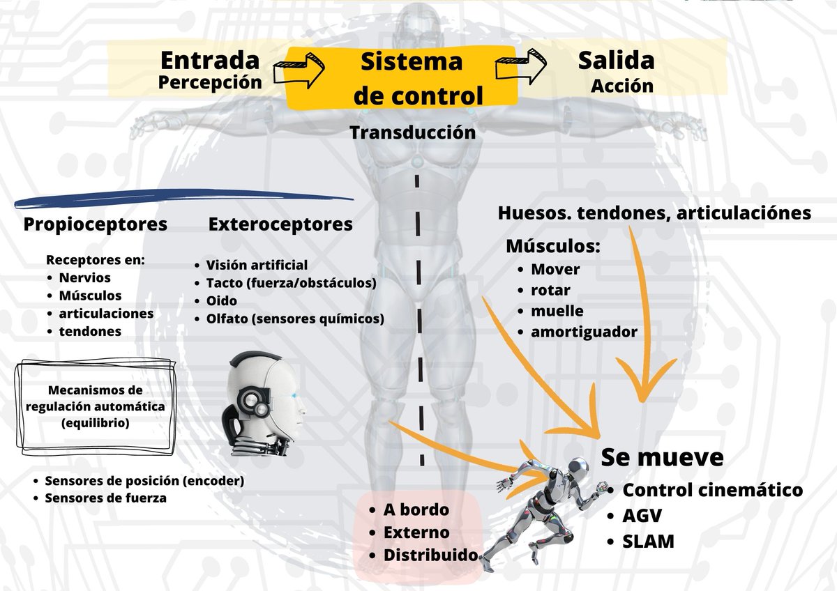 mecky1972's tweet image. "Los robots y sus capacidades" es un imprescindible. Trabaja el #PensamientoComputacional #ProgramasSteam #EducaAndInnova Sistema neuromuscular humano/bot