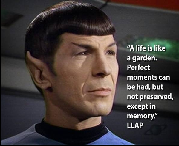 BobThomson tweet media