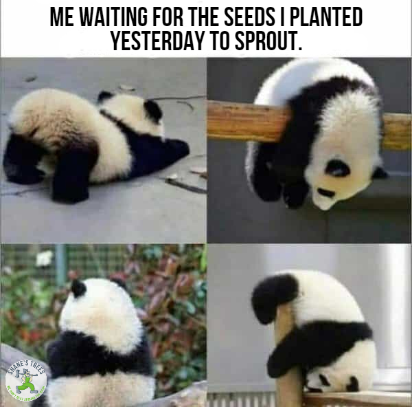 Have a great weekend everyone! 😂🌱#seeds #gardening #meme #gardeningmeme #funnyfriday