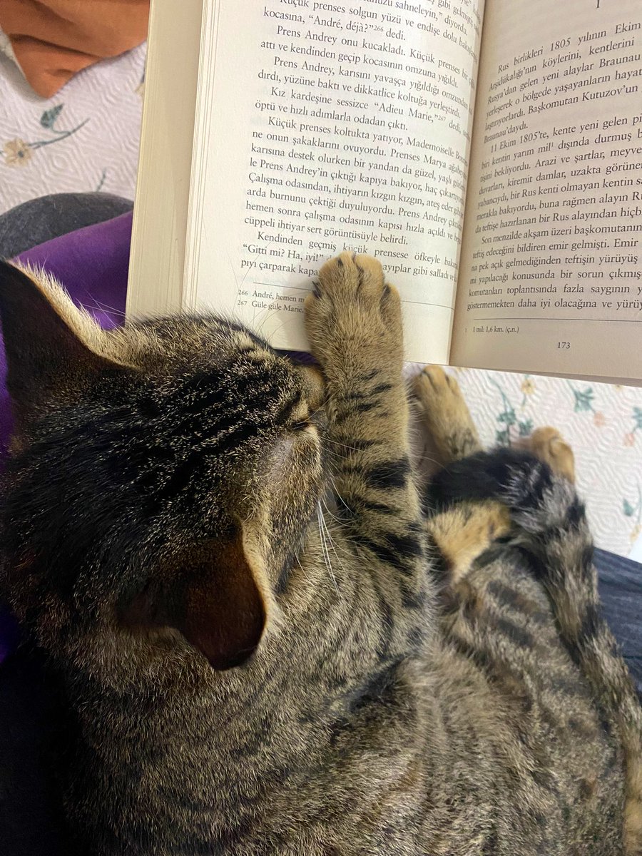 prehemsire's tweet photo. 🥰 https://t.co/ILBOA69wre