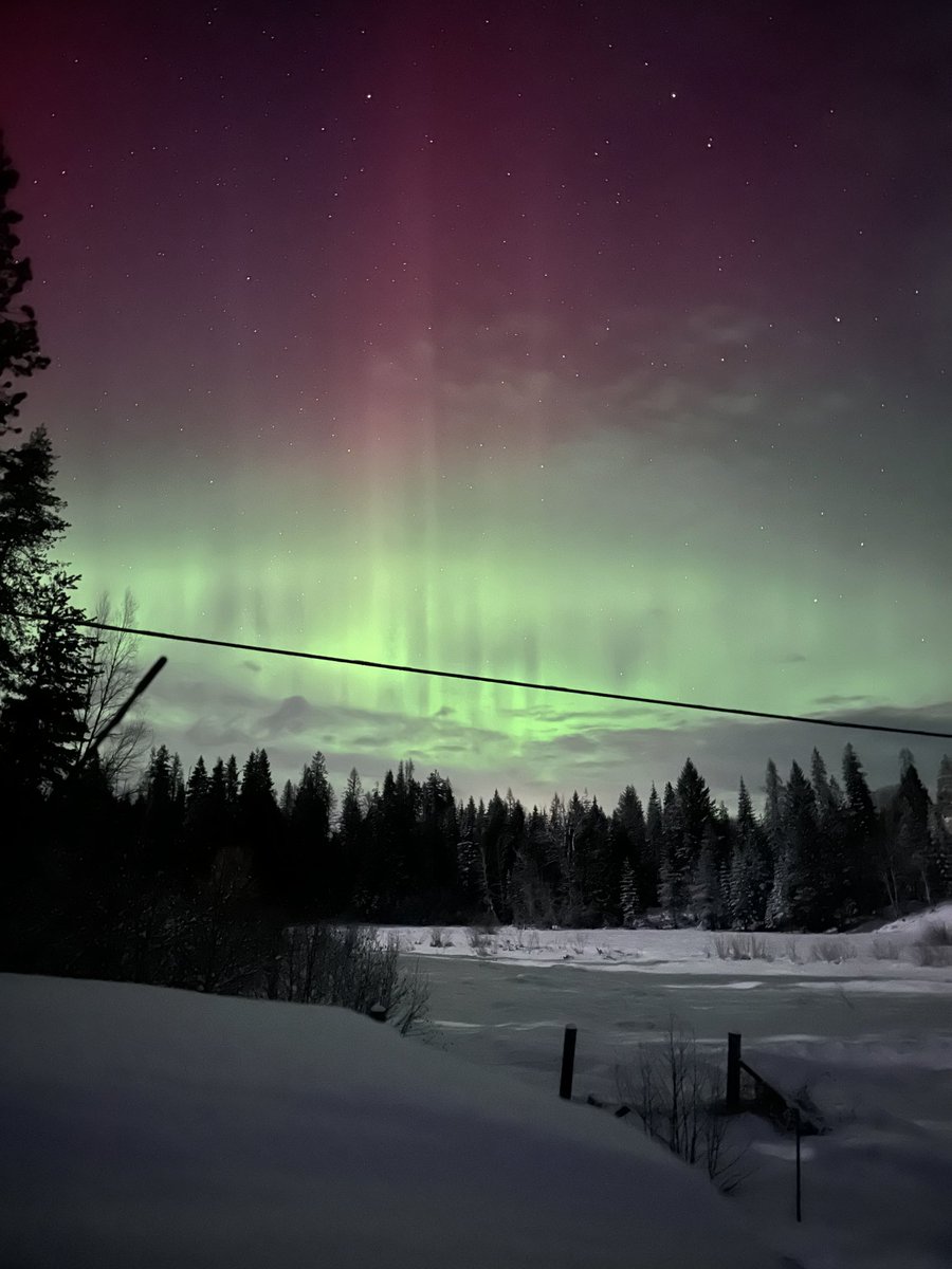AustinGarnerr's tweet photo. Such a surreal sight to see #NorthernLights.
📸: iPhone 14 Pro https://t.co/1pGLrAzZT3