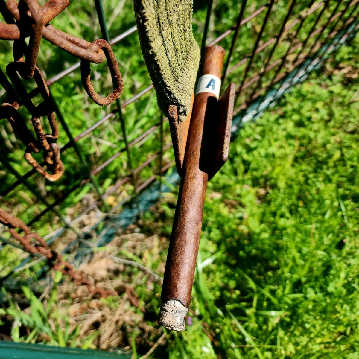 bdiggins76's tweet image. No rules exist for when or where a cigar should be smoked. For #nationalcigarday I'm not smoking this very special gift from @JonathanDrewArt in a luxurious setting. I'm enjoying it while doing chores on the property, that makes it even better. #youdoyou #ligaprivada #drewestate