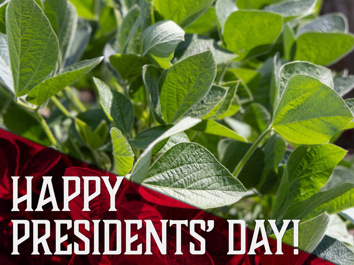 Happy President’s Day from all of us at Merschman Seeds! Did you know that our Group 3 Soybean Varieties are named after Presidents Arthur, McKinley, Jefferson, Kennedy, Coolidge, Monroe &amp; Truman?