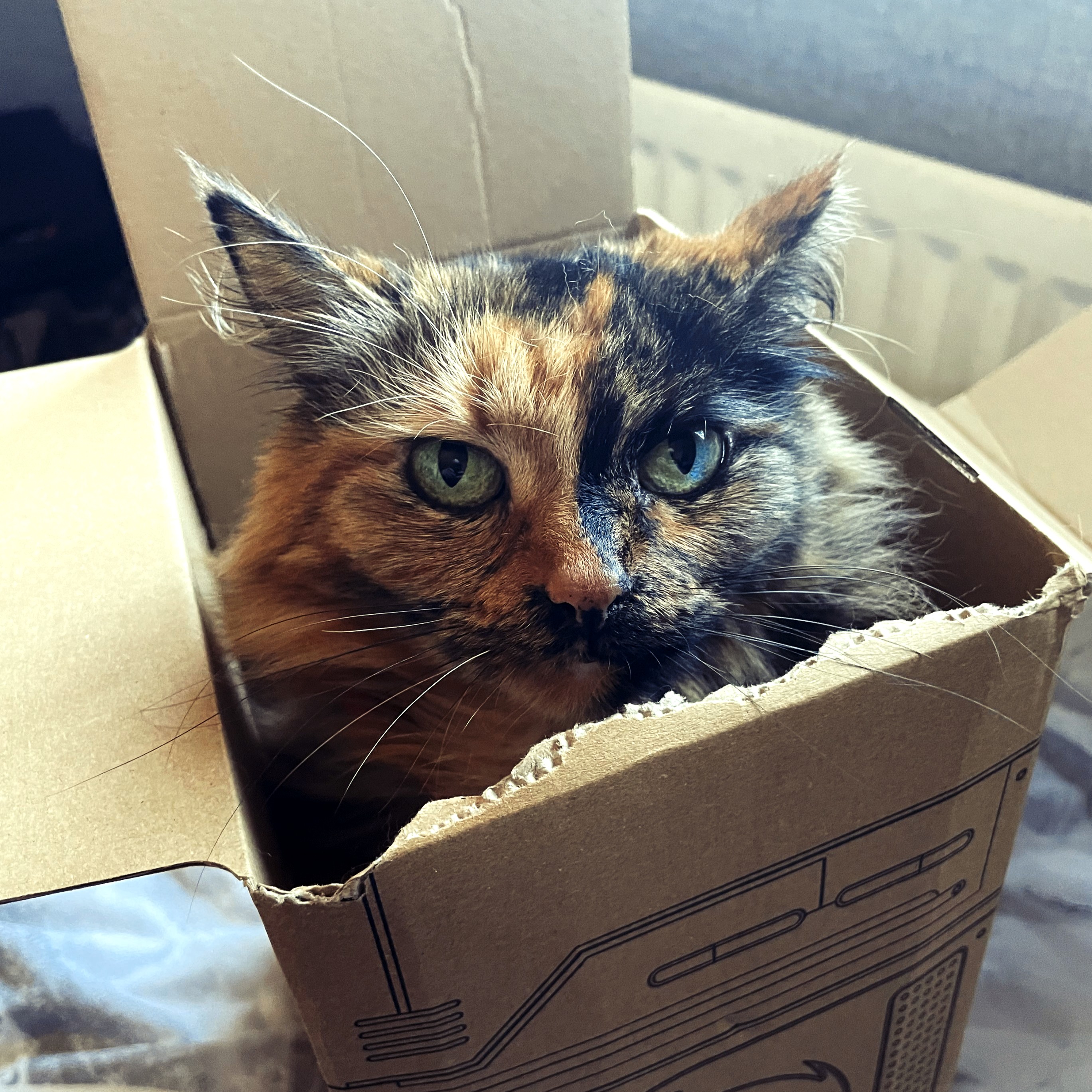 Beyond NRG (beyondnrg) / Twitter