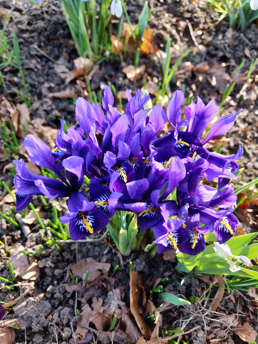 Livinteresting tweet media