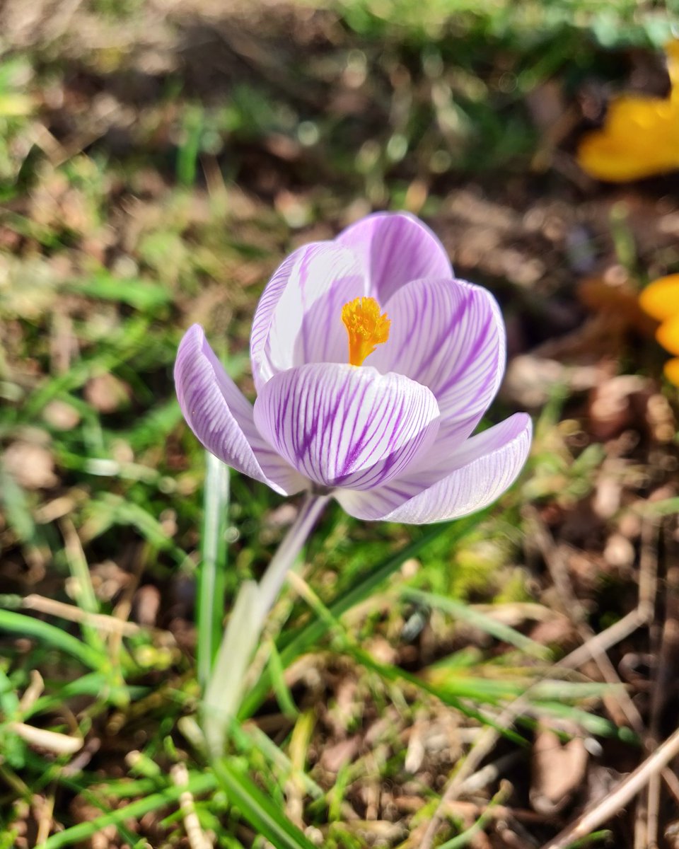 Livinteresting tweet media