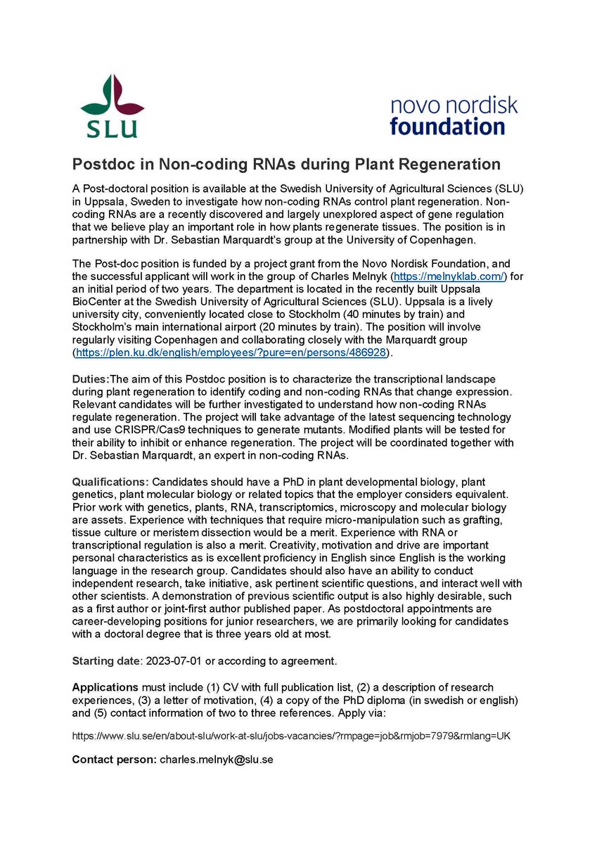 Charles Melnyk (@charlesmelnyk) on Twitter photo A two-year Postdoc position is available in my group @_SLU to study the role of non-coding RNAs during plant regeneration. In collaboration with <a href="/marquardtlab/">Marquardt Laboratory</a> and funded by <a href="/novonordiskfond/">Novo Nordisk Foundation</a>. Start date summer 2023. Please RT! #plantscijobs
Apply via: slu.se/en/about-slu/w… A two-year Postdoc position is available in my group @_SLU to study the role of non-coding RNAs during plant regeneration. In collaboration with <a href="/marquardtlab/">Marquardt Laboratory</a> and funded by <a href="/novonordiskfond/">Novo Nordisk Foundation</a>. Start date summer 2023. Please RT! #plantscijobs
Apply via: slu.se/en/about-slu/w…