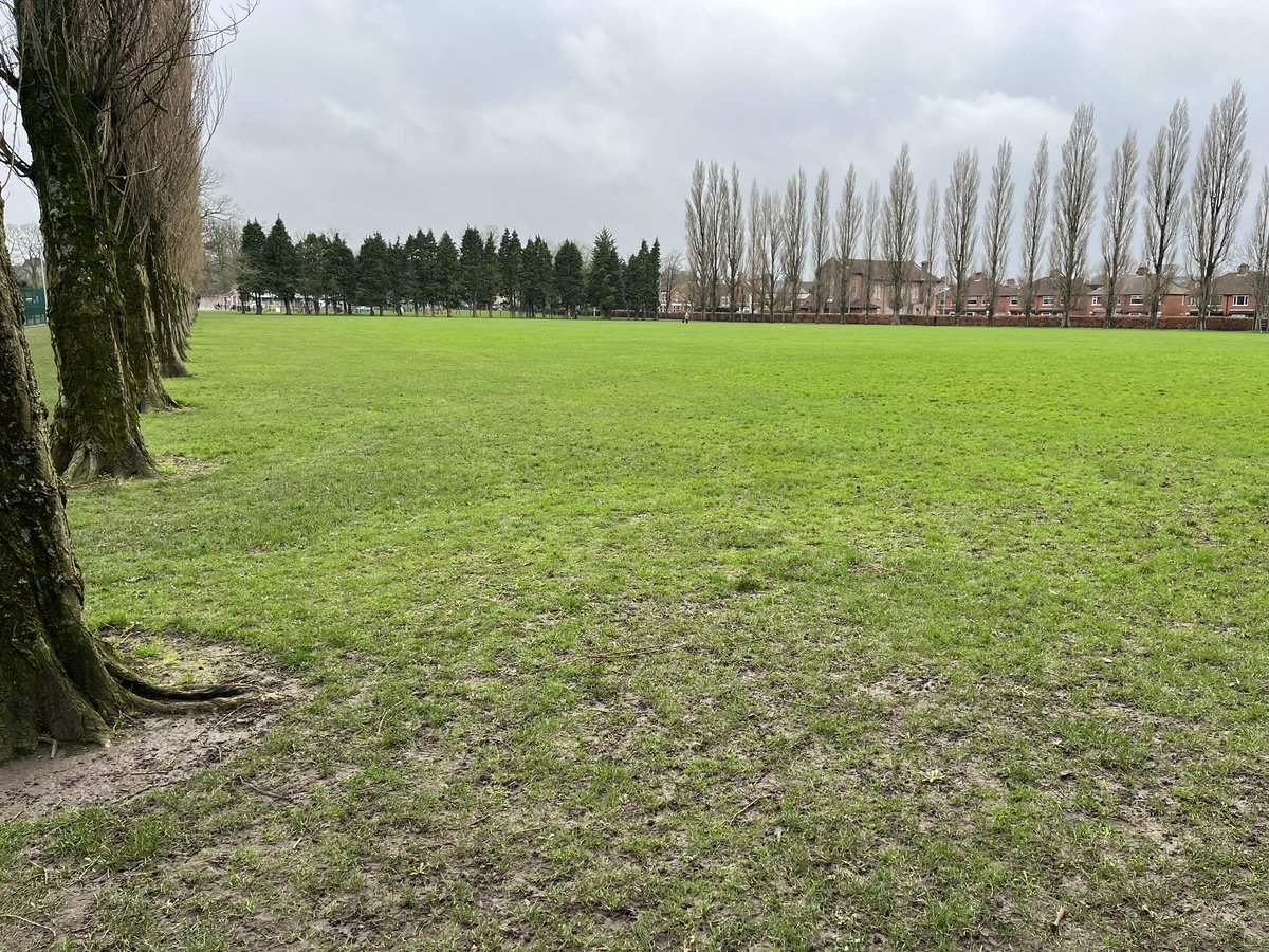 Jerome Quinn tweet media