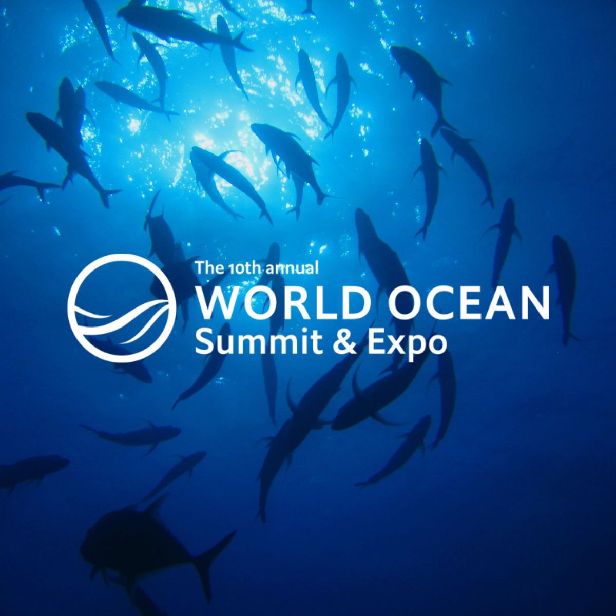 🗓️ In just one week we will be attending the World #OceanSummit & Expo in #Lisbon, #Portugal to discuss #bluefinance and how to build the traceability mechanisms we need to protect our #oceans.

👋 Are you going? Let us know in the comments and let's catch up in person!