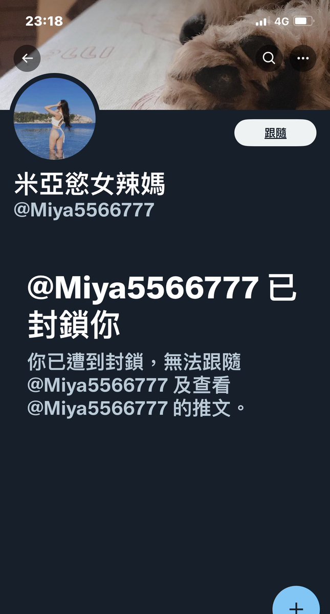 我總算被封鎖了🤣
一直都盜用網紅的照片，裝作自己的，我好奇那些一直在下面留言的男生的目的是什麼🤔
不管如何千萬不要學習盜用別人的照片，因為遲早被拆穿。 https://t.co/qKagTofuRF