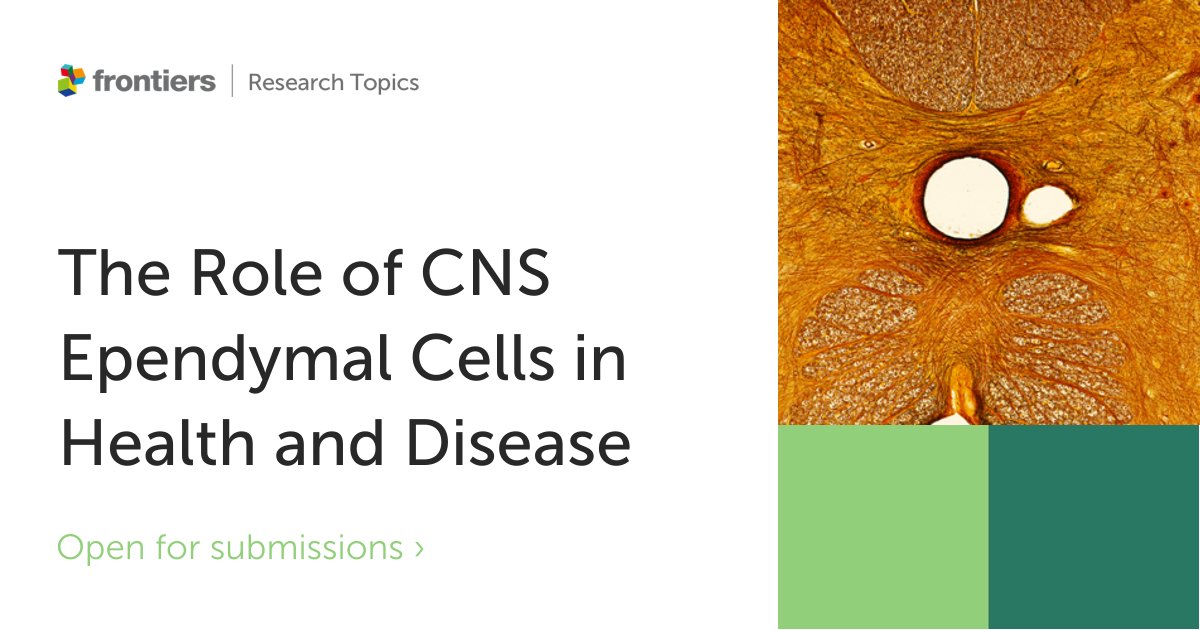 FrontNeurosci's tweet image. 🚨New Research Topic🚨

We are excited to announce a new Research Topic on: The Role of CNS Ependymal Cells in Health and Disease

Led by Dr. Martin Catala and Dr. Jo Anne Stratton(@LabStratton)

📅 Deadline 19 July  2023
Learn more👉fro.ntiers.in/kzSo

#cellularneuroscience