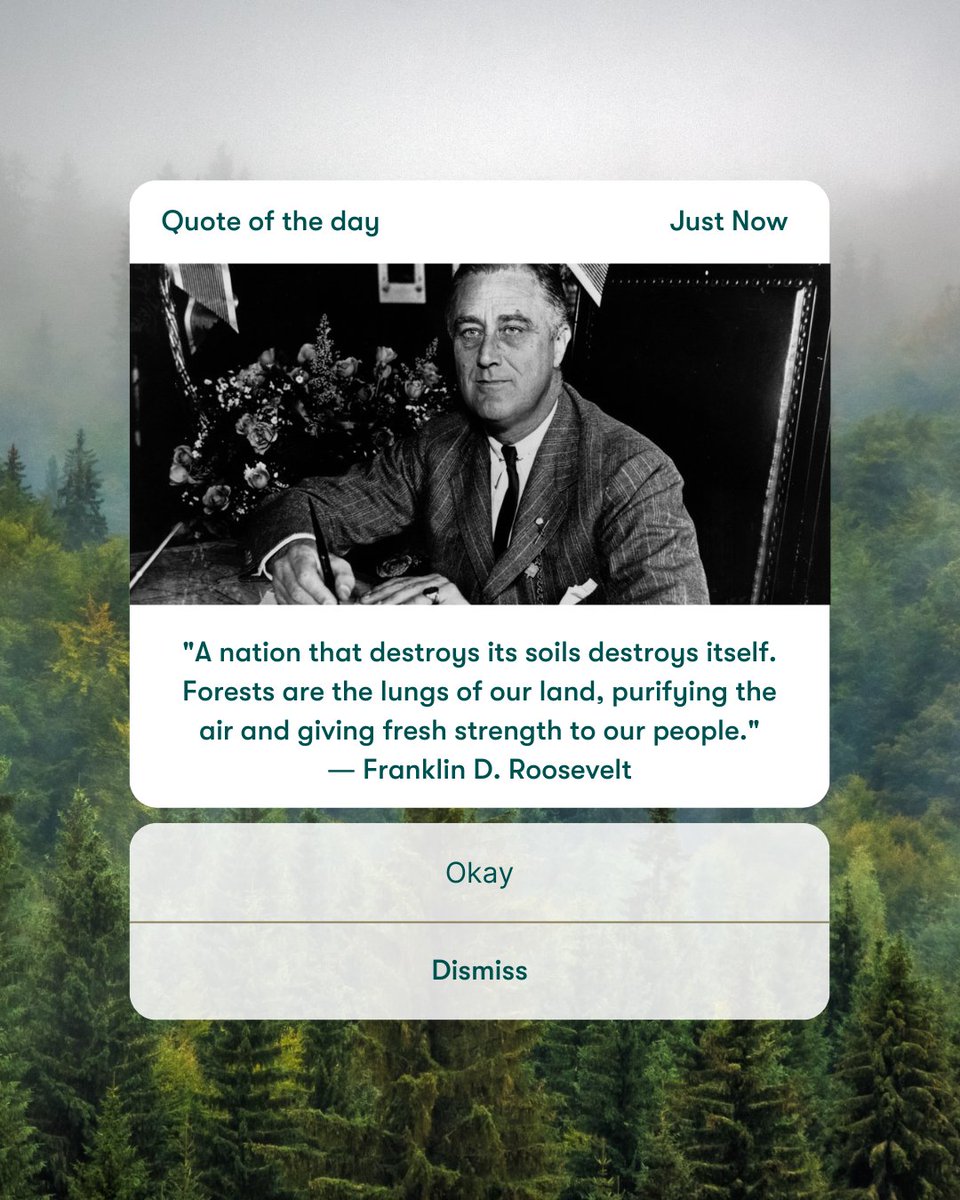 AmericanForests's tweet photo. Something to ponder on this Presidents' Day https://t.co/F82y6dmIeq
