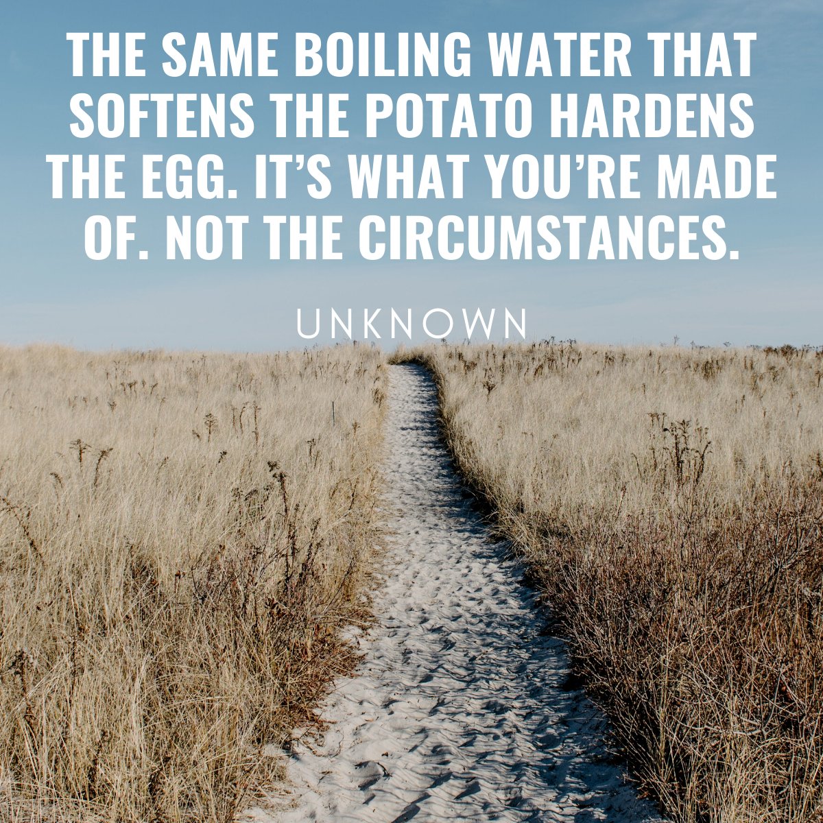 BenLucasAuthor's tweet photo. I would appreciate your follow on Twitter – see me at https://t.co/wG4liGN72S

#readmore #writingcommunity #writing #quoteoftheday https://t.co/6QkE5ZKObW