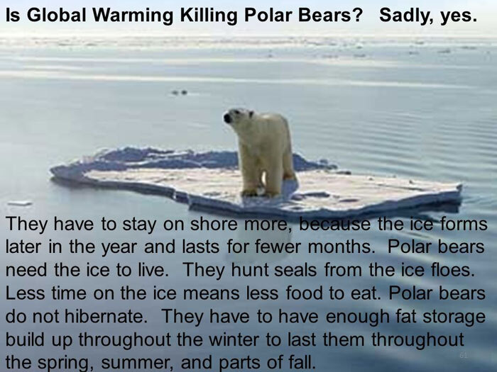 Organic Live Food on Twitter: "One million species face #extinction due ... Biology Diagrams