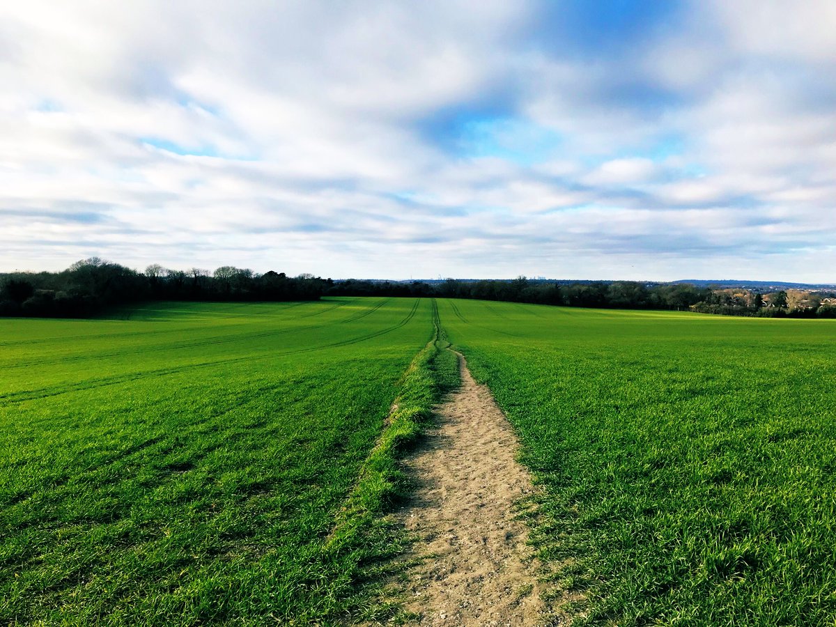 thatsyourplot's tweet image. I got caught up in nowhere again #spring