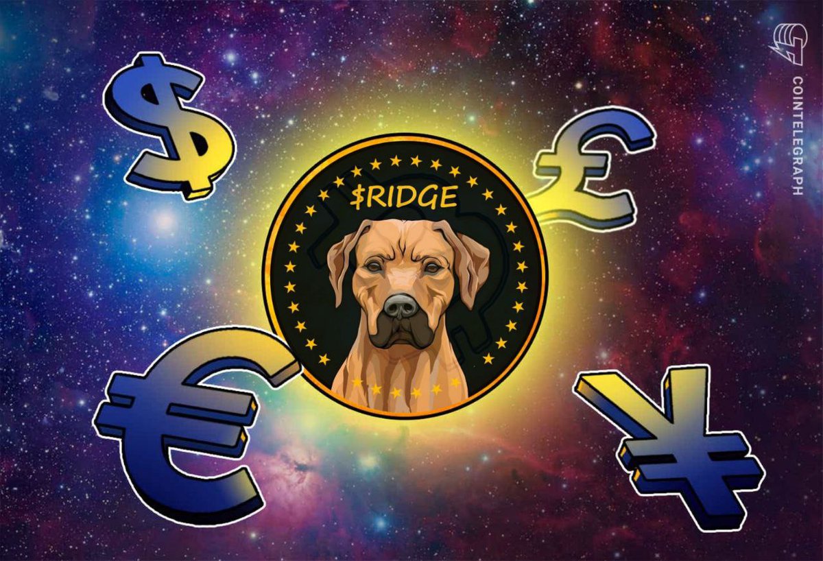 Inu Soldier 🐾🛡 tweet media