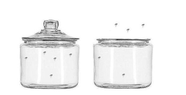 ⭕️ أهم ثريد تقروهوا الليلة.

تجربة البراغيث وليه بتهمنا:
#ريتويت https://t.co/ZQJst2gdv6