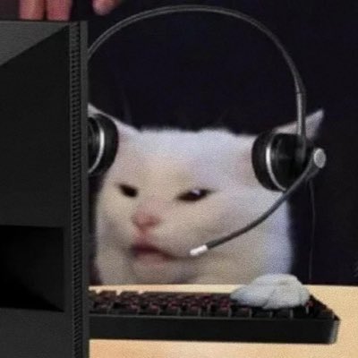 robinwang🦇🔊 tweet media