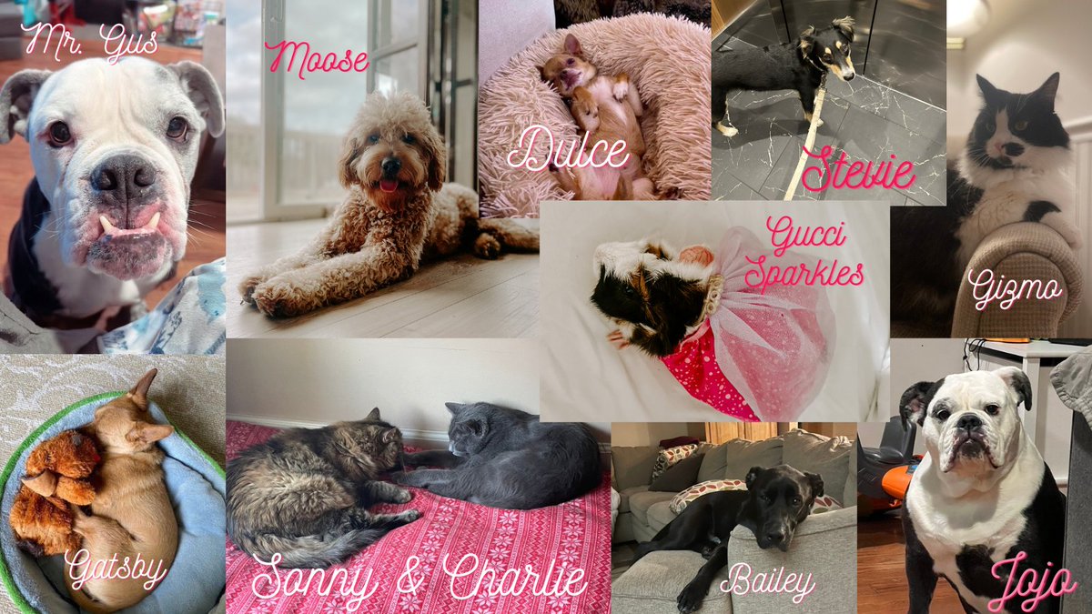 We will take any excuse to share pictures of our furry friends!  #LoveYourPetDay