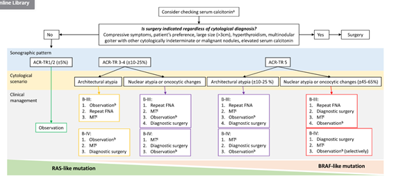 sociedadSEEN's tweet photo. 🦋Clinical value of molecular markers as diagnostic and prognostic tools to guide treatment of thyroid cancer

▶️Las pruebas moleculares deben implementarse en las vías locales de manejo clínico del #nódulo tiroideo para mejorar su valor Dx y Px
https://t.co/KizCCETQbc
@SeenTiro https://t.co/XydqskF6vu