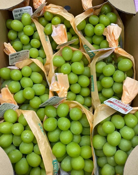 heliya90's tweet photo. 😍😍Green and good fruit, really outstanding.🍇🍇🍇 https://t.co/x9NrwTra0Y