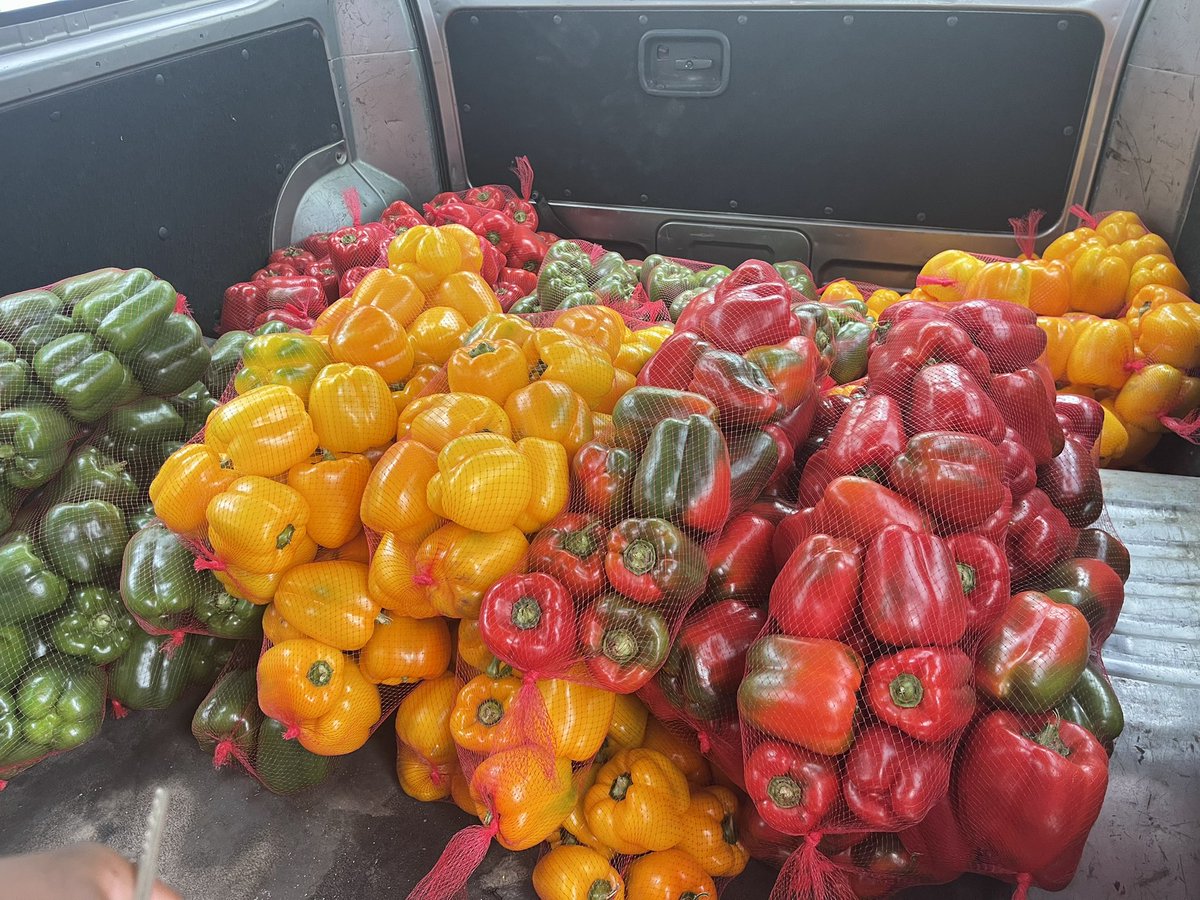 Our farm to door deliveries have started today. We are so excited to deliver to you fresh farm produce. Contact us on 0788257164. <a href="/Horbax_Farm/">Horbax Farm</a> <a href="/PhiriDivah/">Divah Phiri</a> <a href="/bbmhlanga/">Dhara Blessed Mhlanga</a> <a href="/daddyhope/">Hopewell Chin’ono</a>