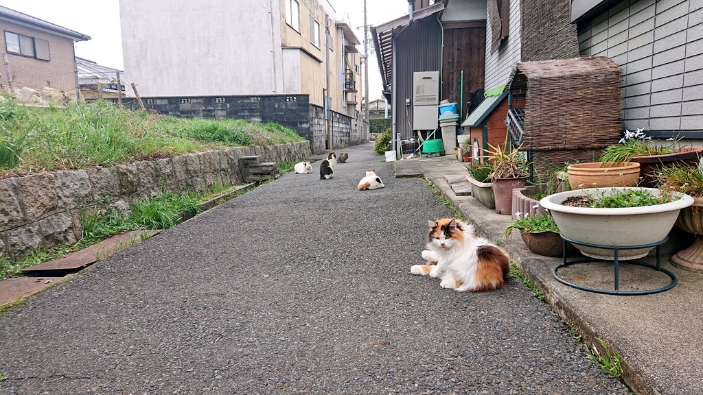 cornus42's tweet photo. 集会してる時の様子 https://t.co/NHracWFzcX