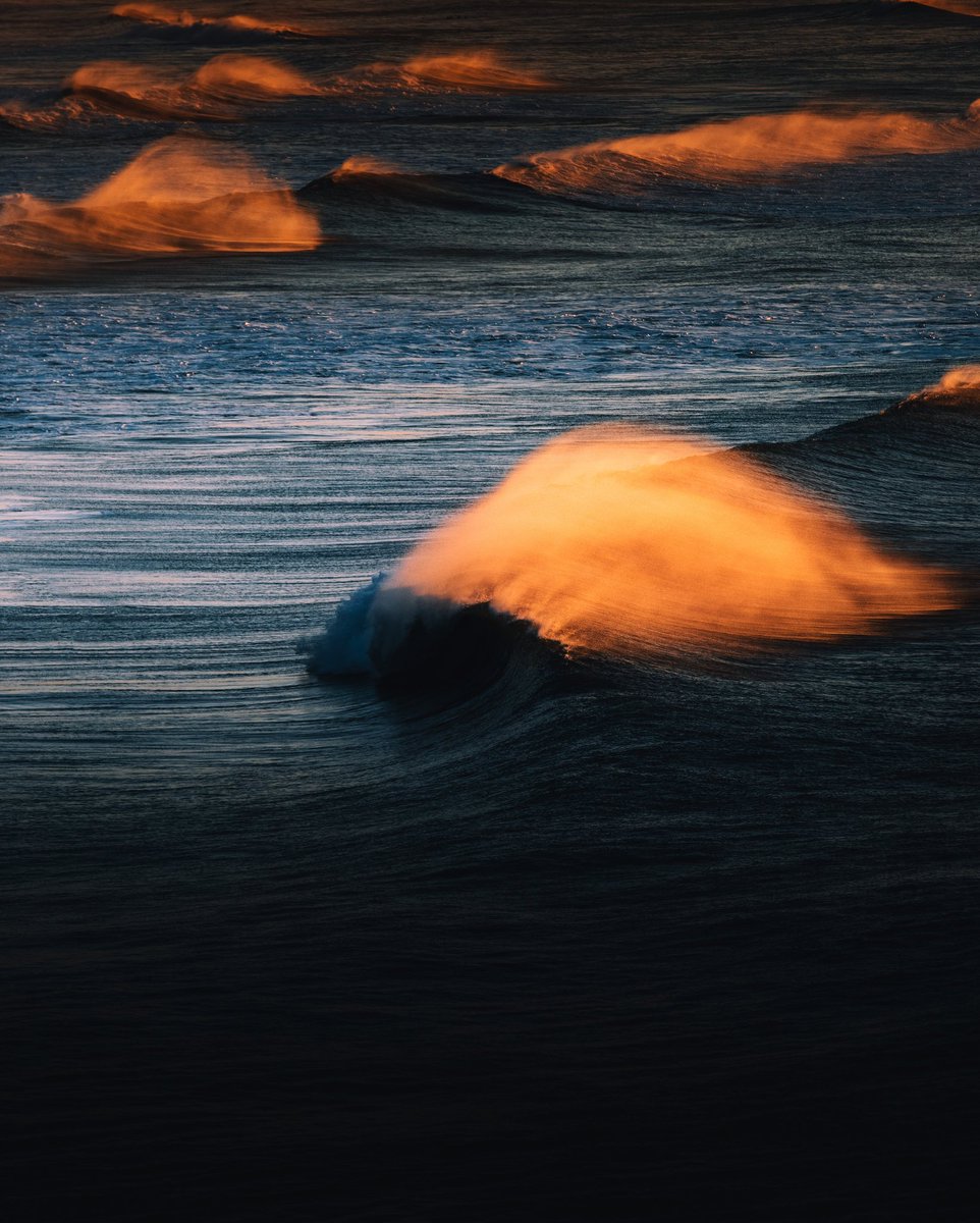 GM photographers, artists and collectors 🌊