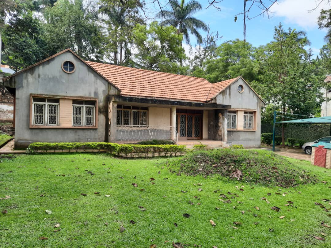 land & house broker in kampala tweet media