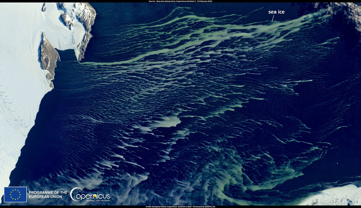 #ImageOfTheDay

February marks the peak of summer in #Antarctica, providing an opportunity to observe unusual phenomena affecting the continent's ice

⬇️On 16 February, #Sentinel2 🇪🇺🛰️captured a rare image of green-tinged #SeaIce as a result of a bloom ongoing in the Ross Sea