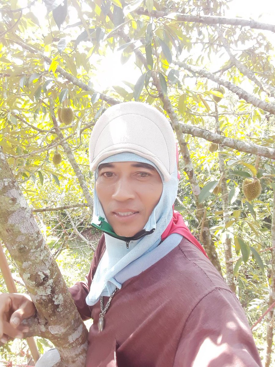 T0011378 tweet media