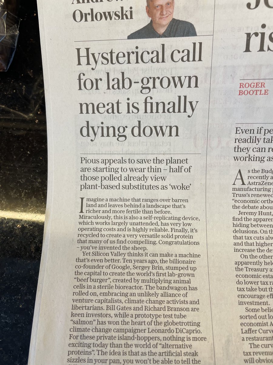 Seems we’re not that gullible . There really is a woke backlash underway