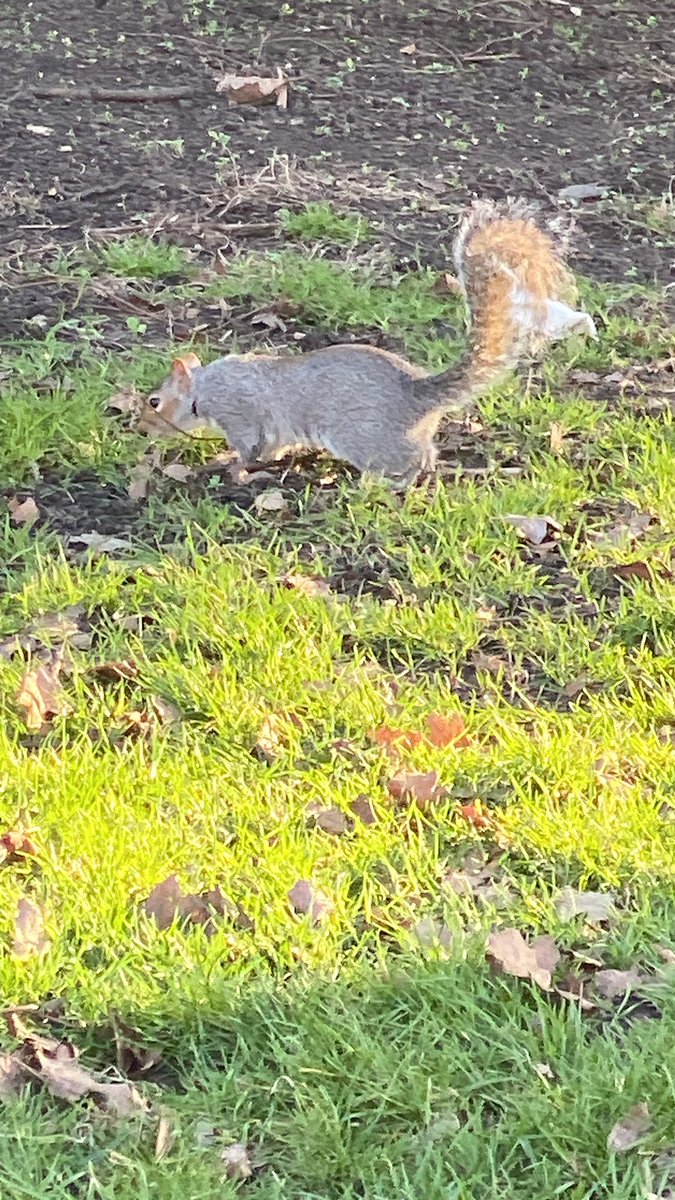 淚 🌱☀️ tweet media