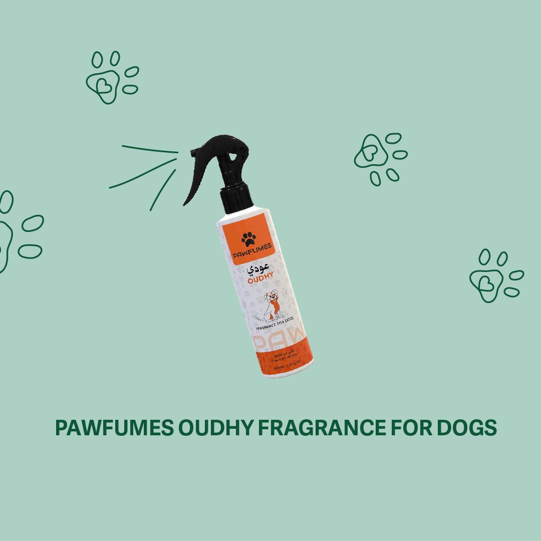 DubaiStoreUAE's tweet photo. Give your pets the pampering they deserve with our exclusive collection of pet essentials! Visit our website or download the app

#DubaiStore #ShopWithTrust https://t.co/z83v23agWM