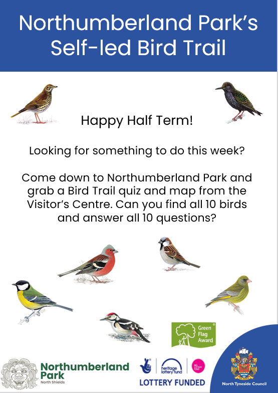 NlandPark's tweet image. The first of our self-led trails this year! Come down to the park and give the trail quiz a go 🗺️🪶

@NTCouncilTeam #northshields #whitleybay #northshields #tynemouth #HalfTerm #thingstodo