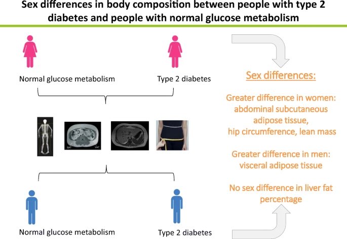 Sex differences in body composition associated with type 2 #diabetes #T2D @DiabetologiaJnl link.springer.com/article/10.100…