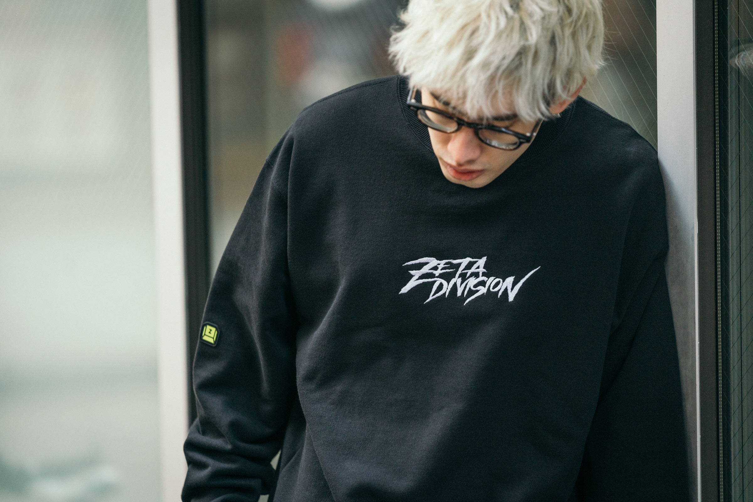 ポケットいっぱい ZETA DIVISION Z MARK CUSHION L クッション