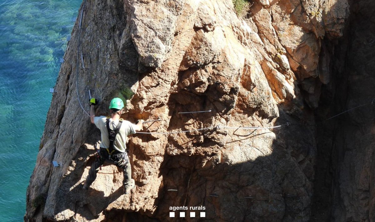 ⛔🐣 Desmuntem parcialment l'accés a una part de la #viaferrada de la Cala del Molí, S. Feliu de Guíxols (Baix Empordà) perquè hi han fet el niu 2 parelles de corb marí emplomallat (Phalacrocorax aristotelis). 

ℹ️👉 Instal·lem rètols de prohibit el pas. 
#GSMcar #EscaladaFeec