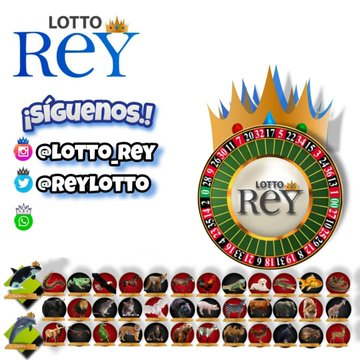 LaLupaDelDinero's tweet photo. 🗣️ Maxima Diversion Que te Trae los 11 Sorteos Diarios en #LottoRey 38 Animalitos para Apostar y Ganar 💲💲

Visitanos https://t.co/E4NhMwJnjb 🥳🥳🥳

Juego Autorizado por la #Conalot  @ReyLotto 

 #Caracas #Venezuela #Ecuador #Colombia #Peru #Chile https://t.co/DewK0bvPDm