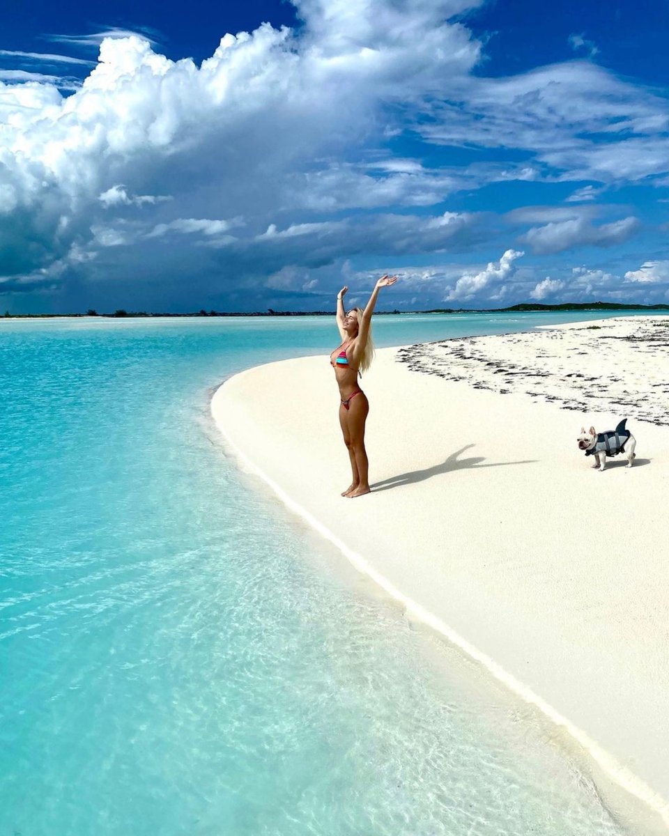TheExumaDream's tweet photo. Watch out for the local landshark! π¦π¦
πΈ: @alinesemjonov / IG
#ParadisePostcards ππ§πΈ
#exumadream #exuma #bahamas #exumablue #theexumafilter #adventure #travel #thatexumakindoffeeling #myoutislands #traveltips #exumacays #visitthebahamas #getoutthere #bucketlist #wande ... https://t.co/lLJUcHIglJ
