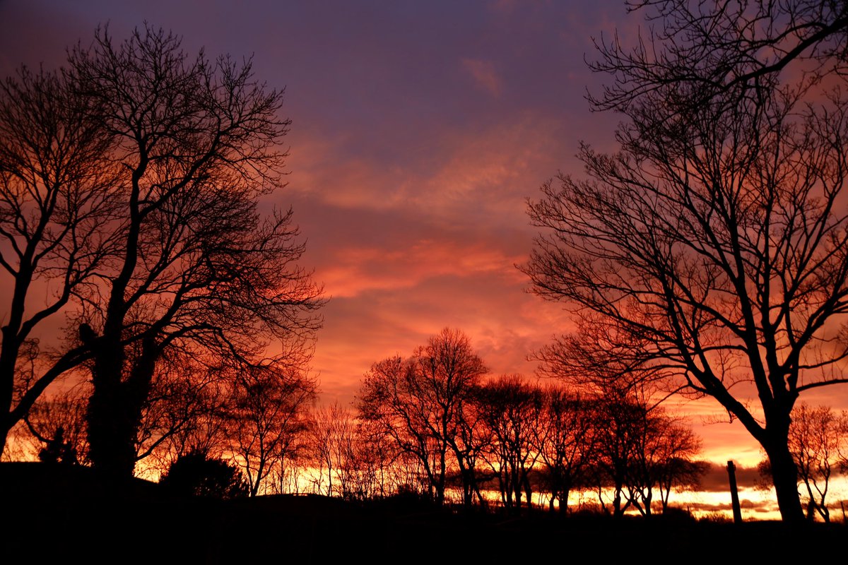 Michiko_Smith's tweet photo. @kerriegosneyTV @JonMitchellTV @KeeleyDonovan @Hudsonweather @WakeExpress The sky was on fire last night, #Normanton #Wakefield #Sunset https://t.co/t0tsfurl52