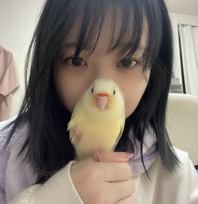 コスプレイヤー伊波ユリのTwitter画像4