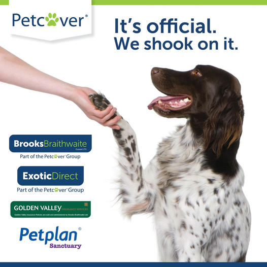 We are officially part of the Petcover Group.

Don't worry, your pets are all still under the same level of cover.

Find out what it means for you: brooksbraithwaite.com/petcover-group…

#exoticdirect #petcover