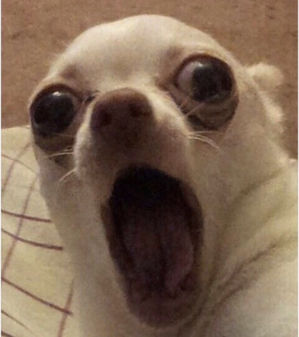 TeenagerBook's tweet photo. When someone tells you a secret you already knew and you gotta act surprised 😮 https://t.co/A4WDEpH2JQ